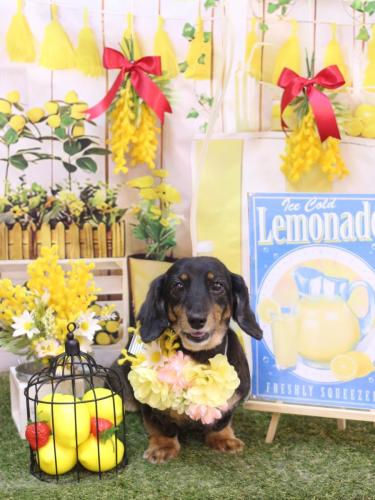 20240402モカちゃん